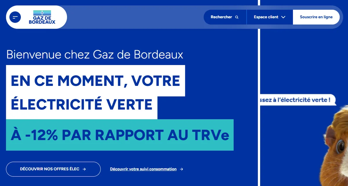 Capture d'écran du programme de parrainage Gaz de Bordeaux